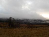 invermaillie 044 : invermaillie