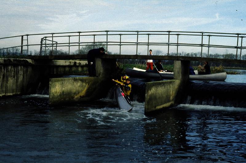 steven0071.JPG - good try